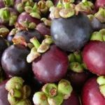 Ekspor Manggis RI ke Australia Terganjal Karantina