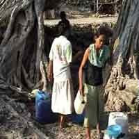 Krisis Air, Warga Tuban Cari Air di Akar Pohon