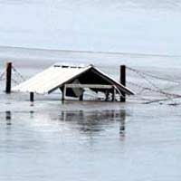 Warga Dukung Lapindo Dinominasikan Pelanggar Hak Pemukiman