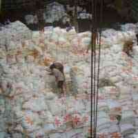 Stok Beras Aman, Harga Stabil