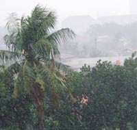 Hujan Deras Disertai Angin Kencang Landa Jakarta