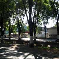 Ruang Terbuka Hijau akan Diperbanyak Pemkot