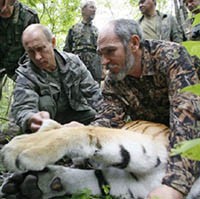 Dor! Putin Selamatkan Kru Televisi dari Serangan Harimau