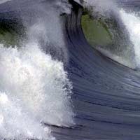 Dua Mahasiswa Ditelan Ombak Pantai Jolosutro