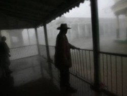 Disediakan Penampungan, WNI Pilih Ngungsi ke Rumah Keluarga