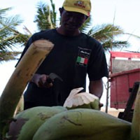 Awal Ramadan, Penjual Kelapa Muda Banjir Order