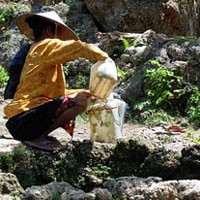 Warga Gunung Kapur Berharap Ada yang Membuatkan Sumur Bor