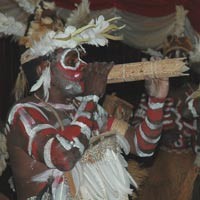 Delegasi Asmat Akan Menari di Depan PM Belanda