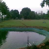 Belasan Rusa Hadir di DPR