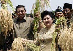 SHI Ngaku Tak Tahu Pendidikan Penemu Super Toy