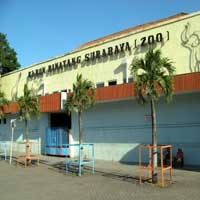 Akhir Pekan Ramadan, Pengunjung Bonbin Turun 50 Persen