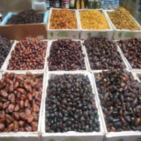 Kurma Muda Nan Berkhasiat