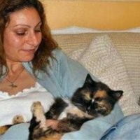 Kucing Bertemu Tuannya Kembali Setelah 9 Tahun Hilang