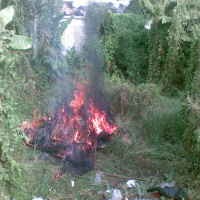 100 Kg Daging Sampah Dimusnahkan