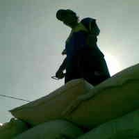 Bulog Hemat Rp 60 Miliar dari Program Pengadaan Jarak Jauh