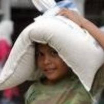 Pertengahan Puasa, Harga Beras di Karawang Malah Turun