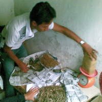 Polisi Sita 2,25 Kg Ganja di Rumah Kontrakan