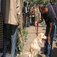 Pelaku Perampokan Taspen Diduga Warga Sekitar