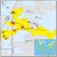 Partner Pertamina di Blok Natuna Ditunjuk November