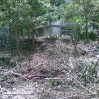 Baksil Akan Ditanami 1.900 Pohon