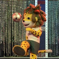 Zakumi, Macan Tutul Maskot PD 2010