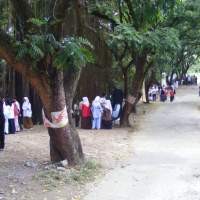 Kembalikan Identitas Garden City