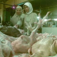 H-2 Harga Daging Ayam Diprediksi Tembus Rp 30 Ribu