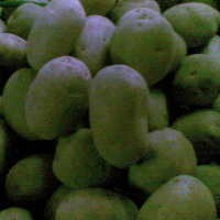 Dalam Sehari Harga Kentang Meroket