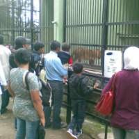 Kebon Binatang Bandung Siapkan 250.000 Tiket