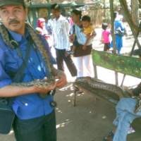 Mencari Uang di Kebun Binatang