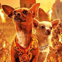 Anjing-anjing Beverly Hills Berkeliaran di Box Office