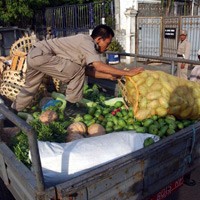 Pedagang Sayur di Irba Kembali Diobrak Satpol PP