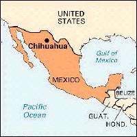 Perang Mafia Narkoba, 3.500 Orang Tewas di Perbatasan Meksiko-Amerika