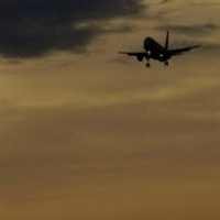 40 Orang Terluka Akibat Insiden Pesawat Airbus A320 