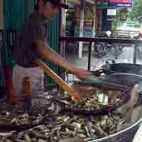 Belut Goreng Bercowek, Dahsyat!