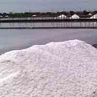 Hujan Datang, Petani Garam pun Meradang