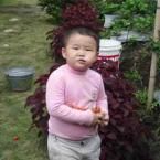 Jonathan Wang, 2,6 Tahun; Lelaki; m