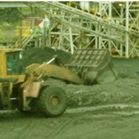 BUMI Buy Back 20 Persen Saham