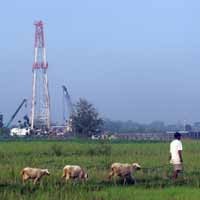 Jawa Timur Dibanjiri Tenaga Kerja Asing Ilegal