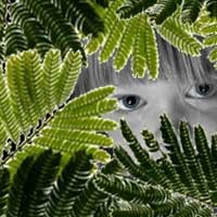 Kacamata Asing untuk Insiden Diknas