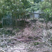 Buat Perda Khusus untuk Baksil  