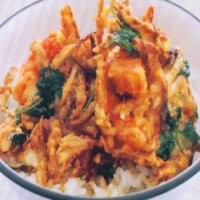 Kakiage Don, Nasi Komplet Gaya Jepang