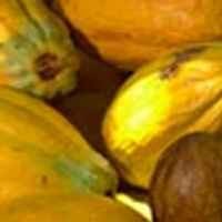 Ekspor Komoditas Primer Wajib Pakai SNI