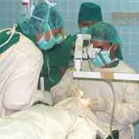 Operasi Katarak Gratis di SEC