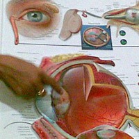 Sinar UV Matahari Percepat Katarak