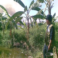 Terik Matahari, Alang-alang Seluas 2 Hektar Terbakar 