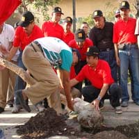 Ramai-ramai Hijaukan Surabaya