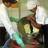 Keju Mozzarella Buatan Margo Utomo Resort