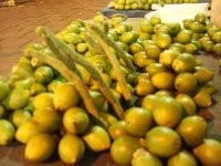 Idap Diabetes? Rebus Buah Pinang!