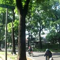 Sepenggal Kisah FO di Jalan Otten